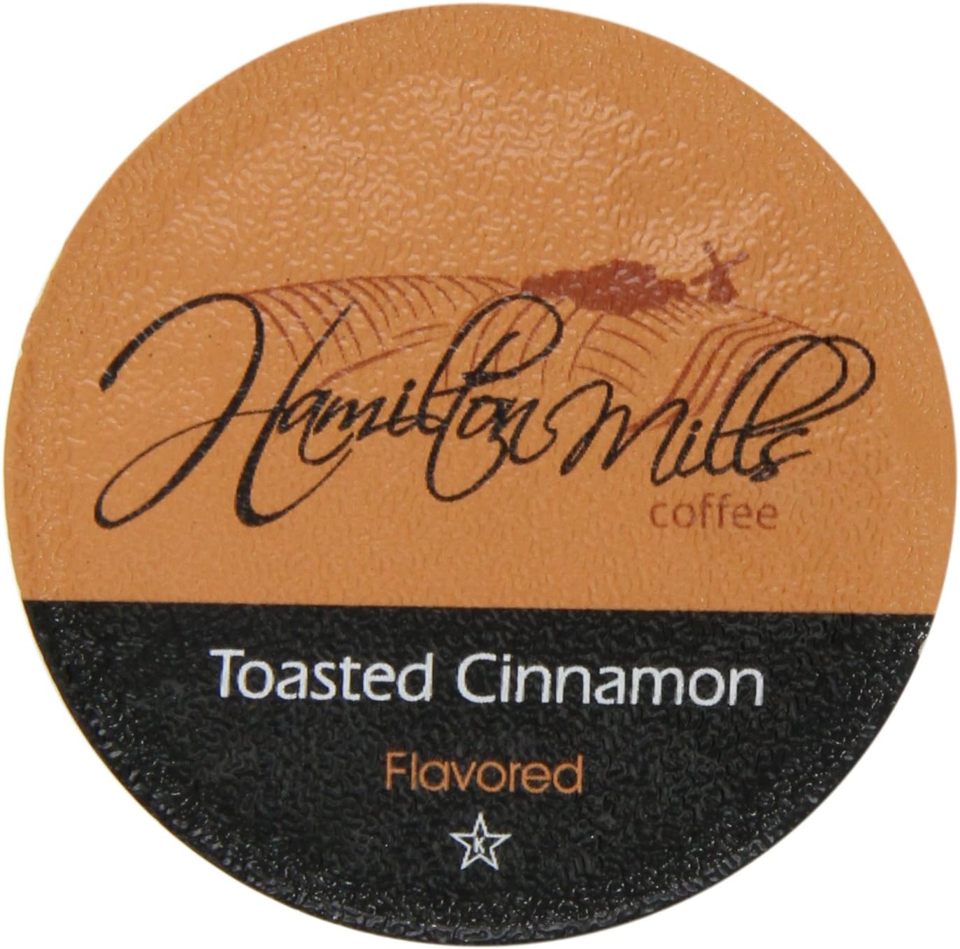 Hamilton Mills Toasted Cinnamon Coffee Pods, Compatible with 2.0 Keurig K Cup Brewer, 40 Count
