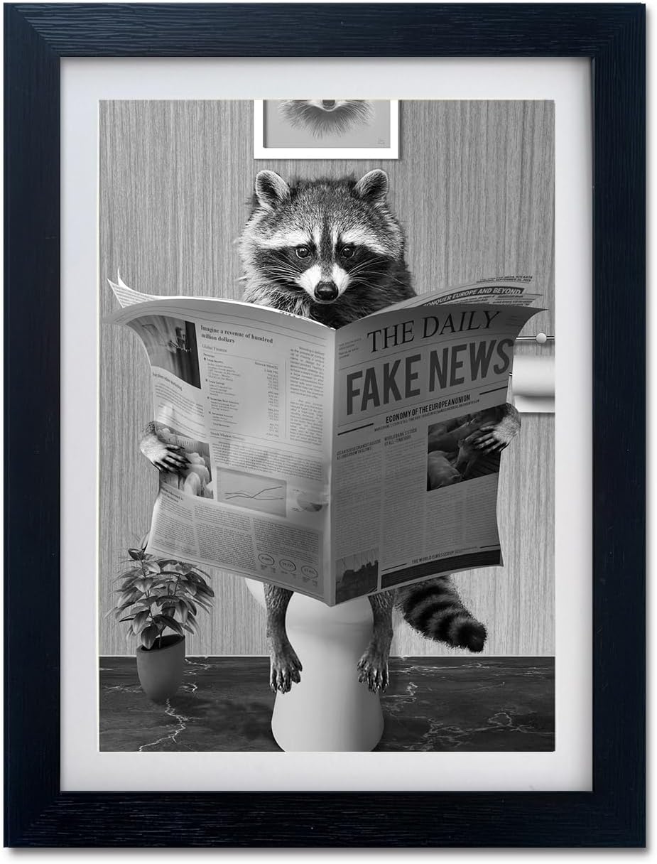Kids Bathroom Decor Wall Art Bathroom Accessories Funny Raccoon in Toilet Decor Black and White Picture Pinting Funny Animal Canvas Print Artwork