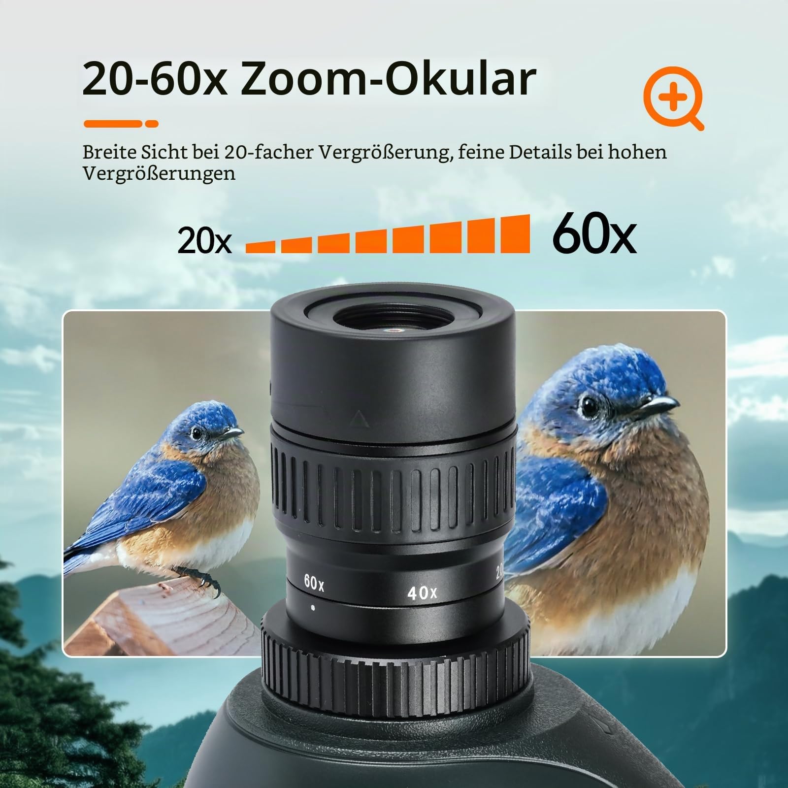 Svbony SV406 20–60x80 mm Spektiv, HD FMC BAK4 Porro Prism für Sportschützen mit Dual Focus, 1.25'' Abnehmbares Okular, IPX7 Wasserdicht mit Stativ Tragetasche für Vogelbeobachtung Wildtiere Scenery