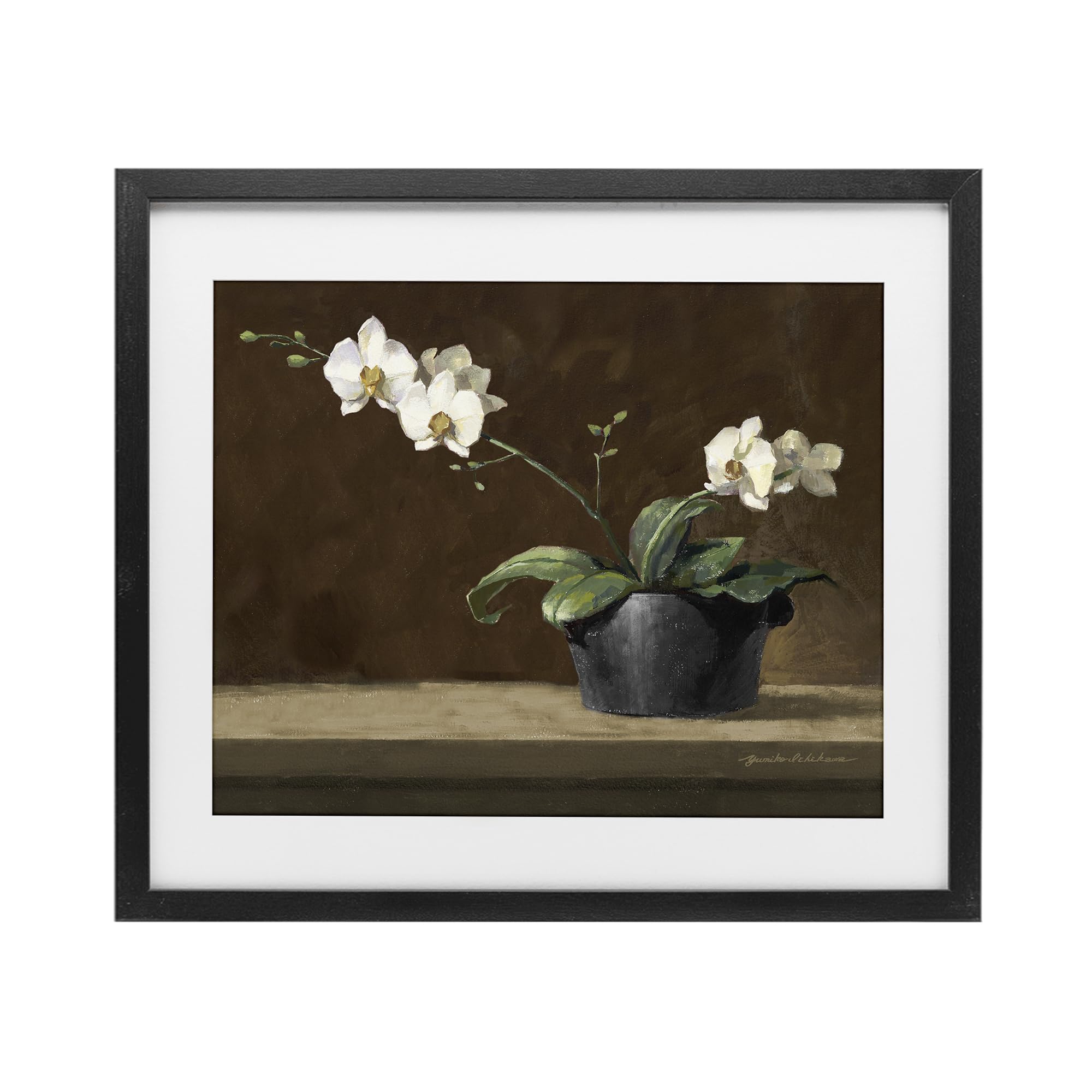 'Potted White Orchid on Ledge'| Framed Print Under Glass