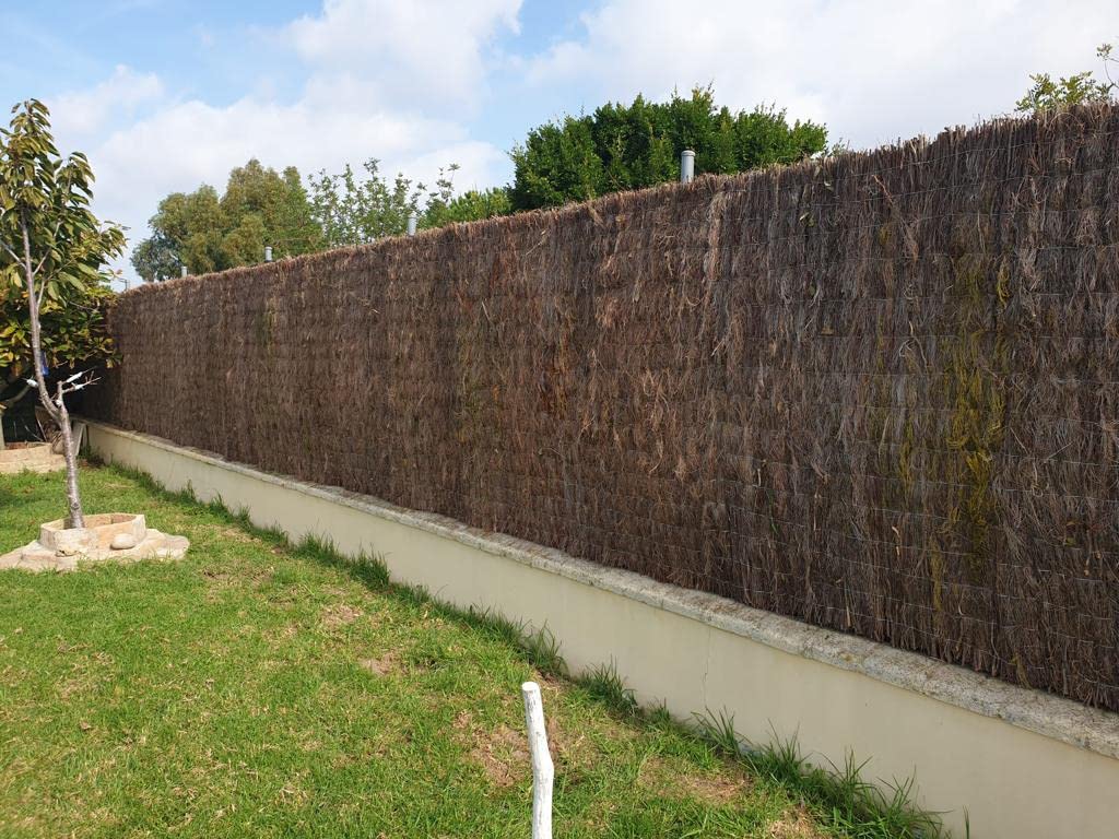 BREZO NATURAL 100% OCULTACION (1.5x3 metros)