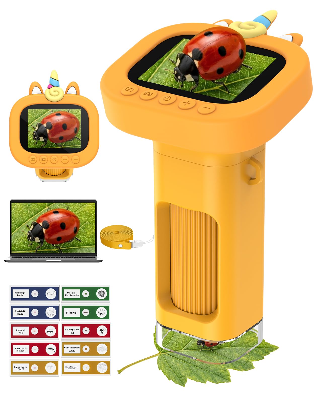 1000X Numérique Microscope Enfant Portable: Microscope de Poche with 2.4" IPS Ecran - Jouets STEM Cadeaux d'anniversaire pour Filles Garçons Enfants - Kits Scientifiques éducatifs de 6 à 10 Ans