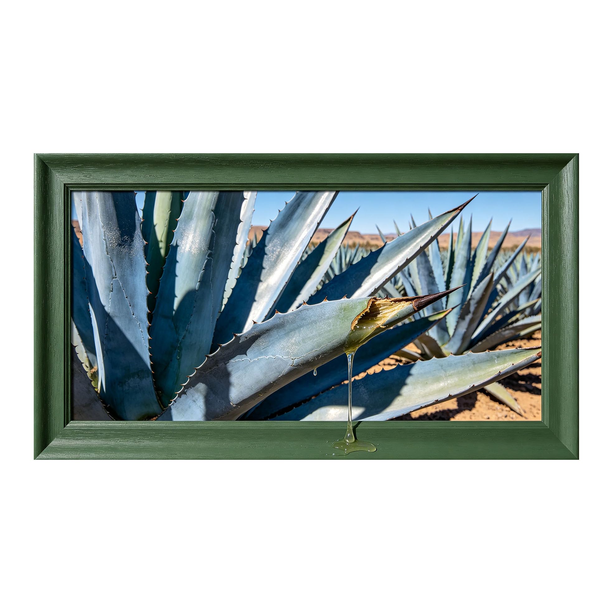 Yzpallescene 3D Framed Wall Art 50cm×100cm Blue Agave Plant Southwestern Desert Landscape Trompe L'oeil Large Size SelfAdhesive Removable Wall Decor Prints Artwork for Living Room Bedroom Office