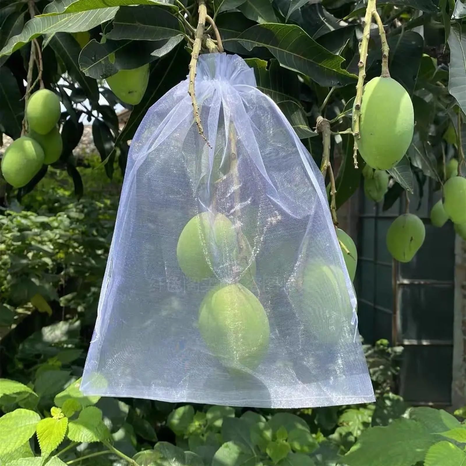 Tuin Fruit Cover Mesh 20/50/100PCS Fruit Bescherming Zakken Voor