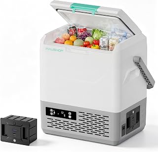 HAUSHOF ポータブル冷蔵庫 車載冷蔵庫 小型 【-20℃～20℃ 急速冷凍】 15L 持ち運び 3WAY AC100V DC12V/24V 電池 コードレス 車載 電動 省エネ LCD温度表示 バッテリー1個付き 持ち運び用ハンドル付き 車に乗せる キャンプ 車載家庭両用 静音 低電圧保護 メモリー機能 車中泊 トラック 釣り 災害時 一人暮らしに大活躍【PSE規格品】