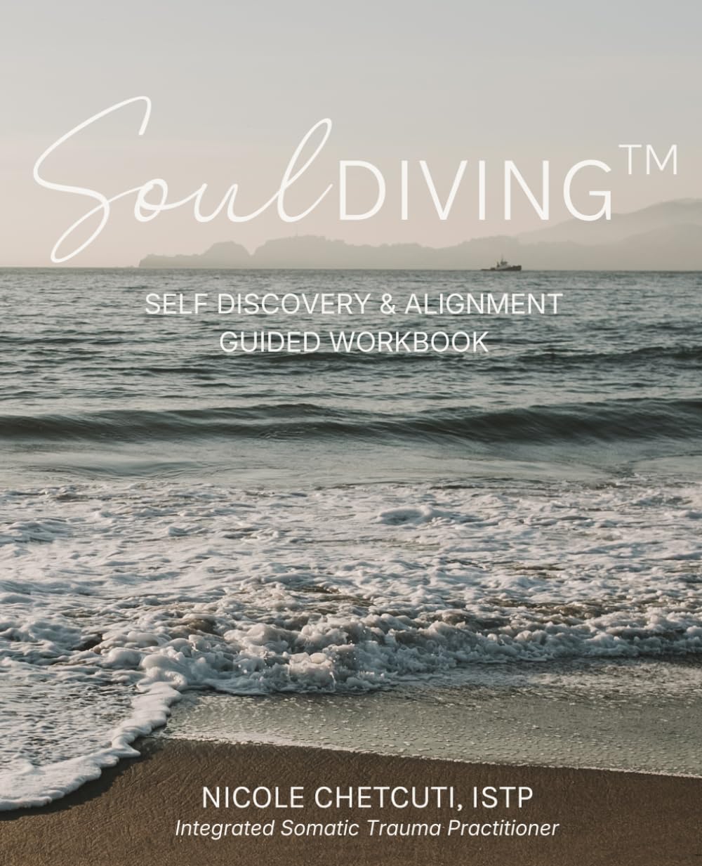 Soul Diving | Self Discovery+Alignment Guided Workbook      Paperback – Large Print, August 24, 2024