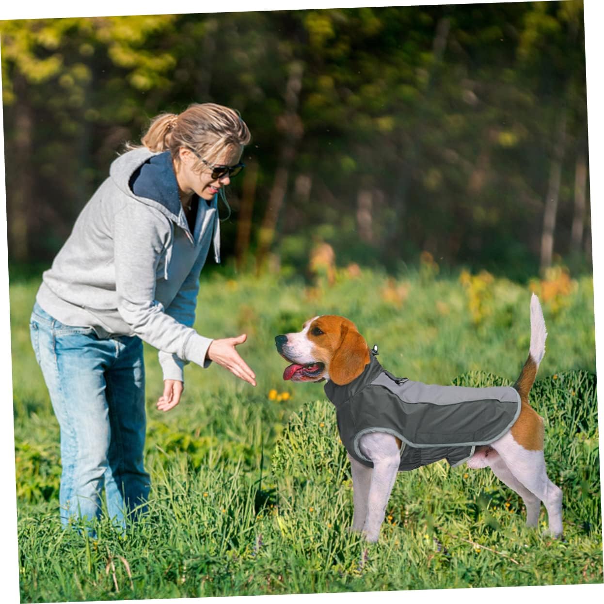 Kisangel 3pcs Dog Jacket Dog Clothing Winter Warmth Reflective Vest Raincoat Pet Harness Compatible