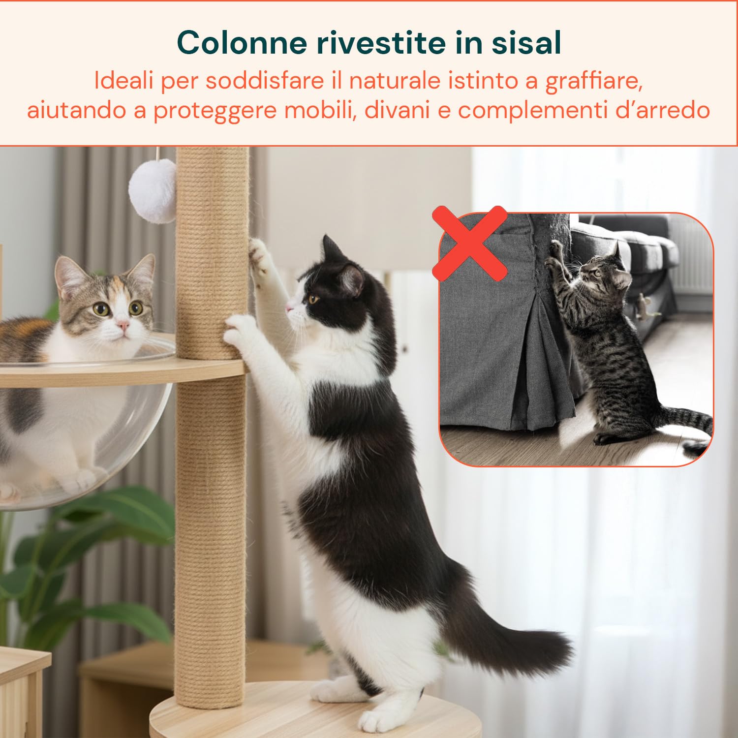 Avilia - Tiragraffi per Gatti Multilivello con Cuccia, Piattaforme in MDF e Colonne in Sisal, H135 cm, con Amaca Trasparente e Pallina Pendente, per Gioco, Relax e Osservazione