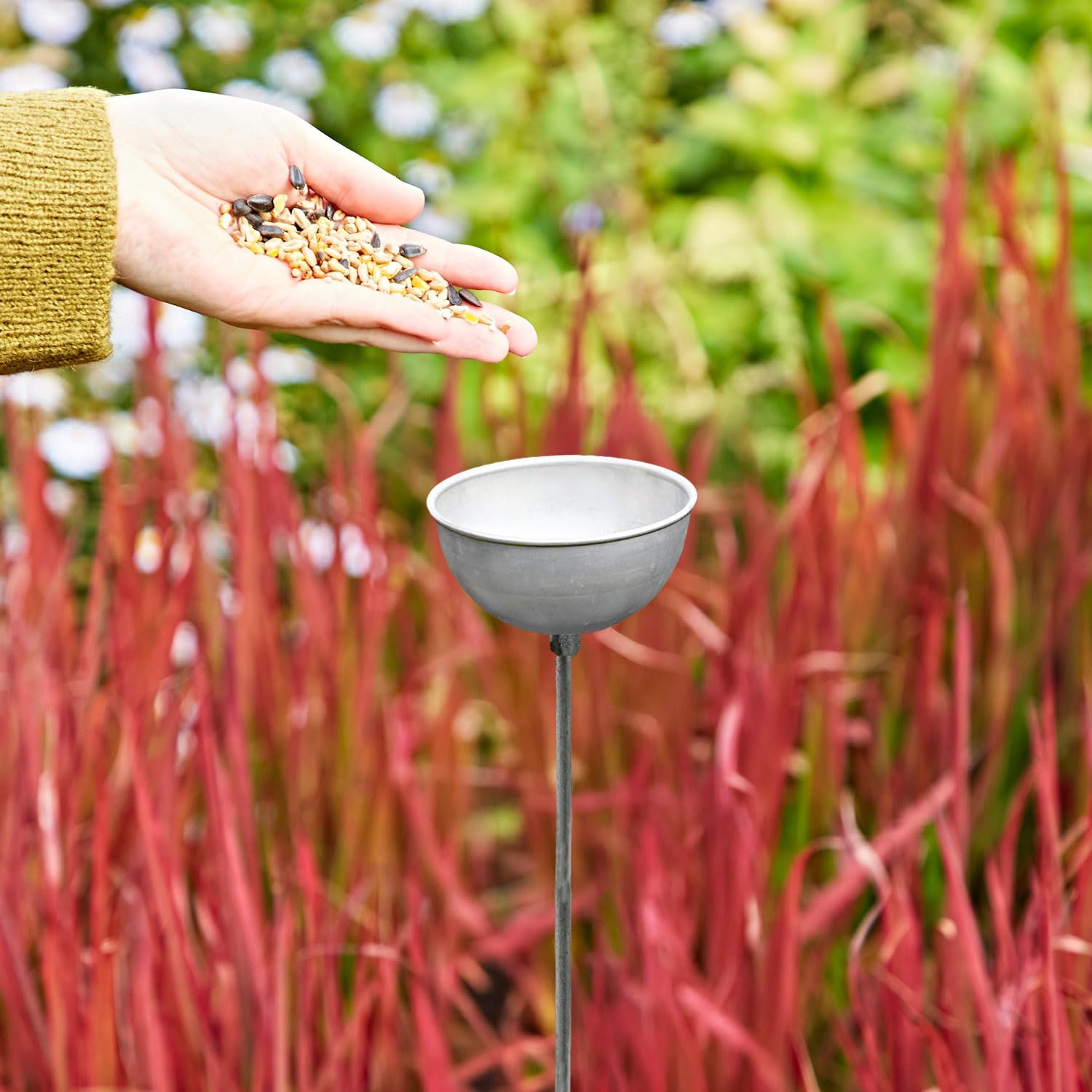 Iron Rain Catcher - Silver - Small - Garden Feature - Bird Feeder - Plant Support