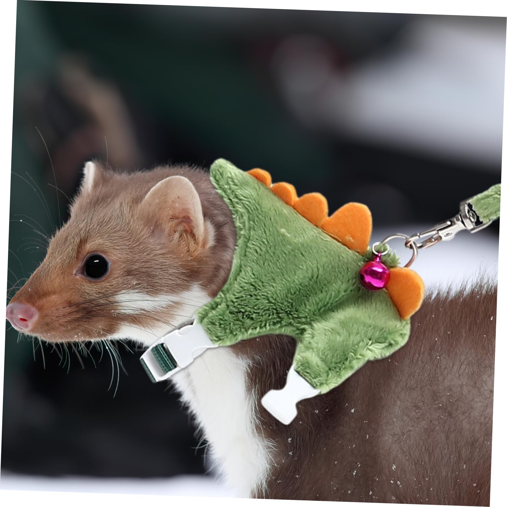 Ipetboom 5pezzi Guinzaglio Per Furetti e Guinzaglio Per Passeggiate Forniture Per Animali Domestici Con Motivo Dinosauro Ottimale Per Comfort e Controllo