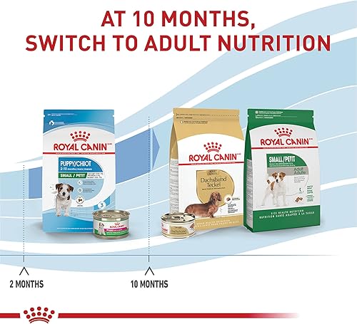 Miniatura 7 de Royal Canin Size Health Nutrition - Alimento seco para perros pequeños, bolsa de 14 libras