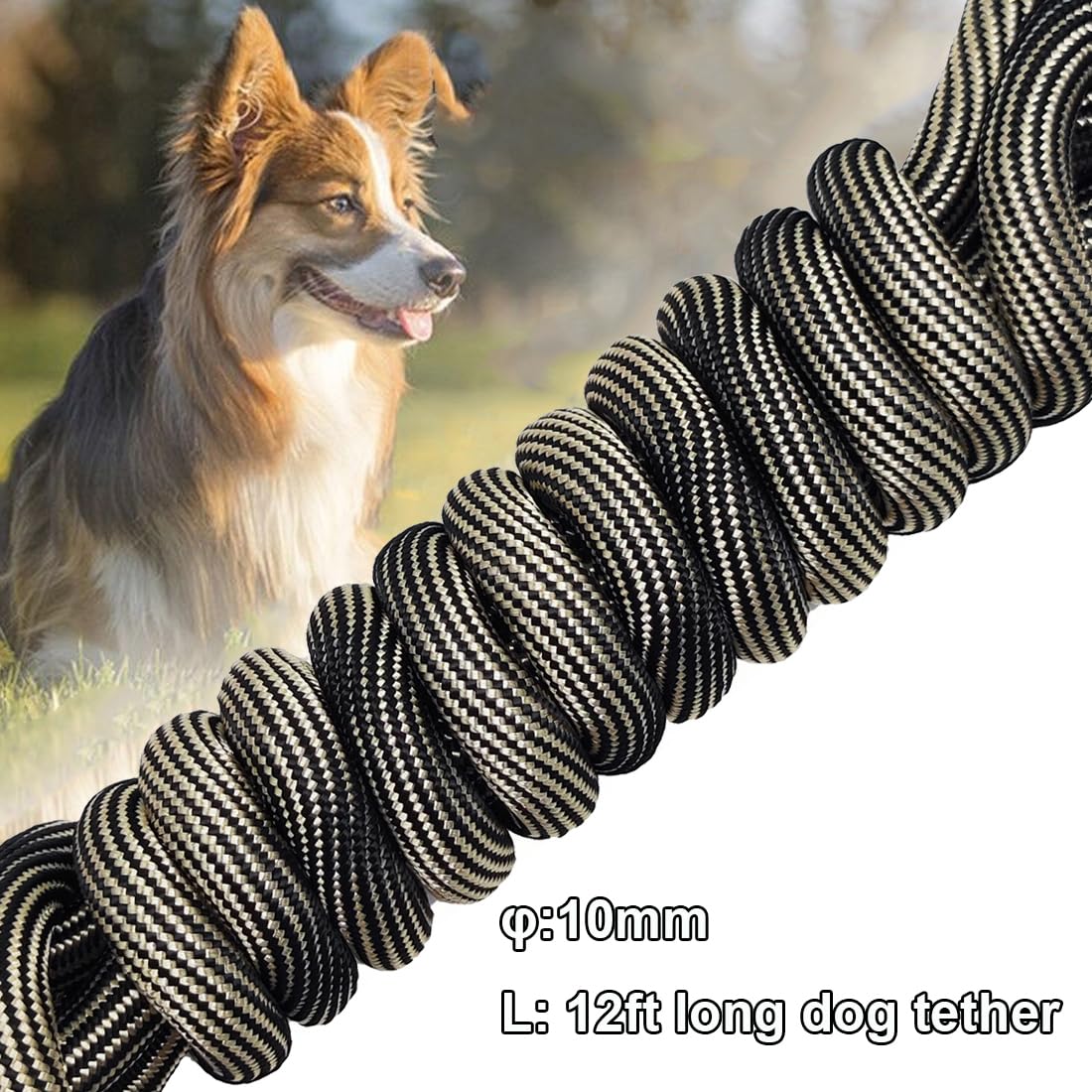 BTINESFUL Correa de cuerda larga para perro de 12 pies, 20 pies, 30 pies, 50 pies, ideal para perros grandes, medianos y pequeños, entrenamiento, jugar, acampar o patio trasero (12 pies, beige negro)