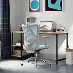 SIHOO Fauteuil de bureau ergonomique chaise de bureau en informatique, appuie-tête réglables Fauteuil et fauteuil en mesh d'accoudoir (Noir)