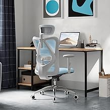 SIHOO M18 Chaise de bureau ergonomique, chaise de bureau d'ordinateur avec appui-tête et support lombaire réglables, chaise de direction pivotante à haut dossier pour le bureau à domicile (Bleu Clair)