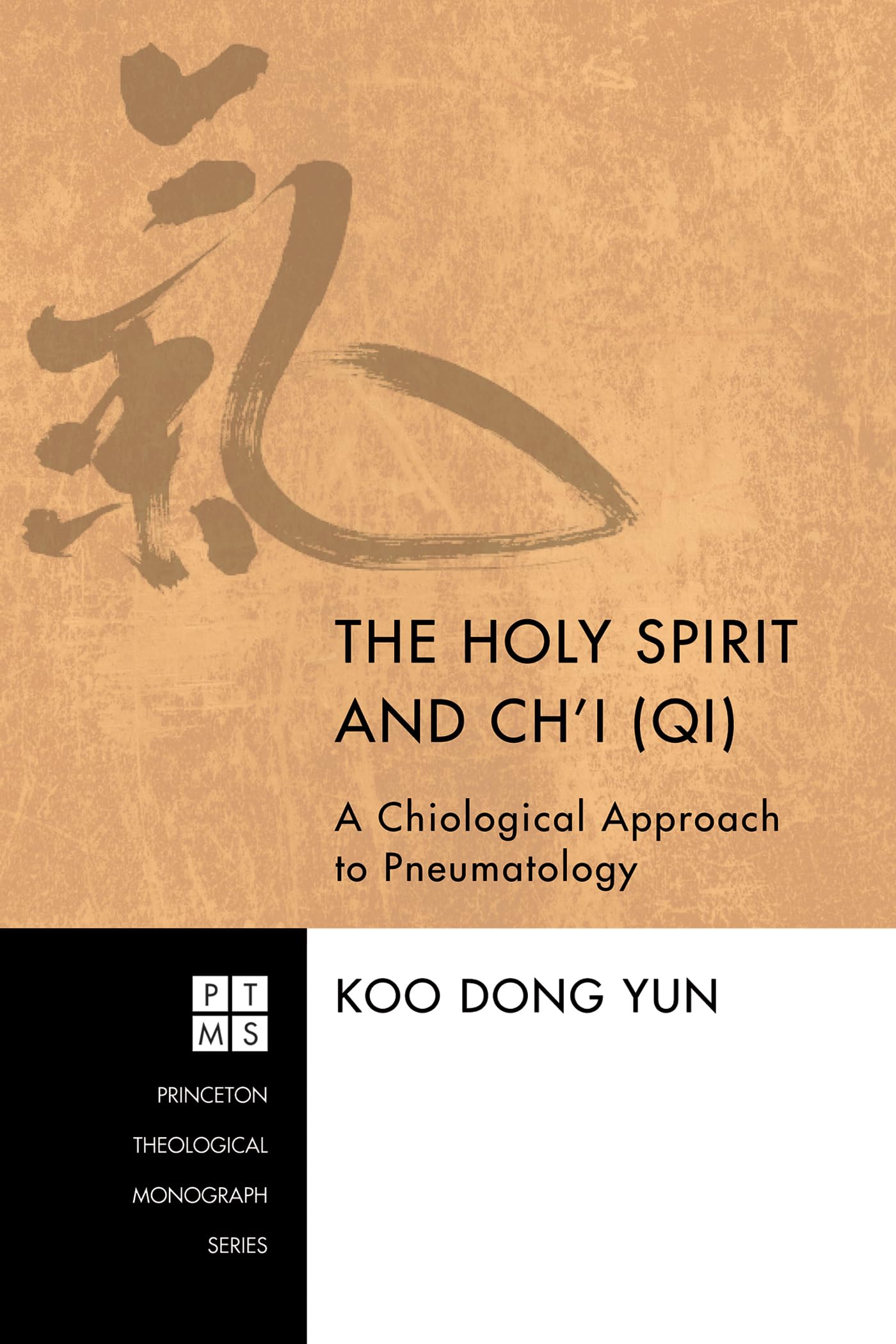 The Holy Spirit and Ch'i (Qi): A Chiological Approach to Pneumatology (Princeton Theological Monograph)