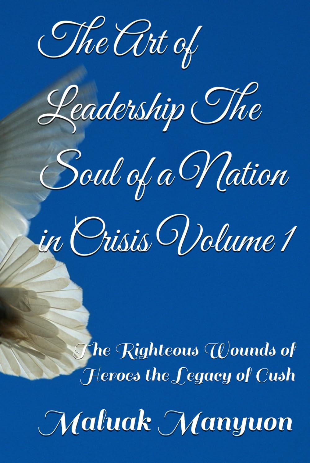 The Art of Leadership The Soul of a Nation in Crisis Volume 1: The Righteous Wounds of Heroes the Legacy of Cush