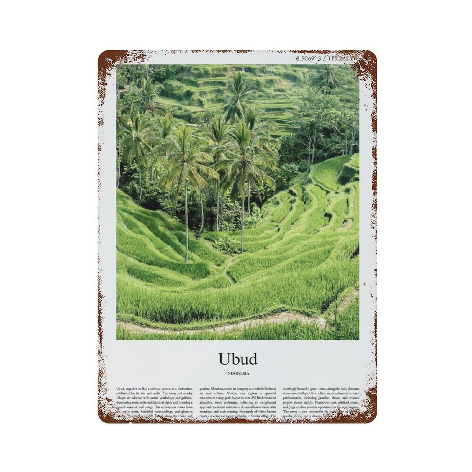 xiaoxiaoshen Ubud Indonesia City Scenery Wall Decor Art Metal Tin Poster Modern Home Decor Art Home Bar Shop Decorations Vintage Sign 40x30cm