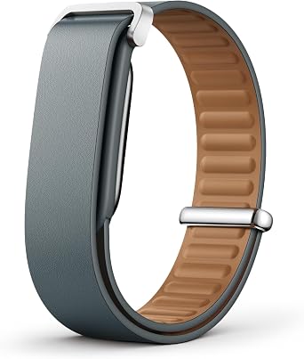 Google Fitbit Air