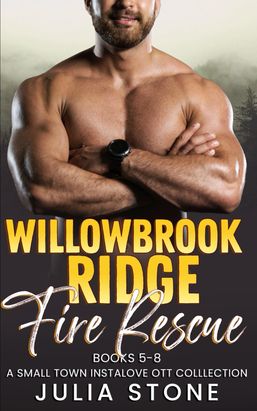 Willowbrook Ridge Fire Rescue: A Small Town Instalove OTT Collection 5 - 8 (Collections and Bundles)