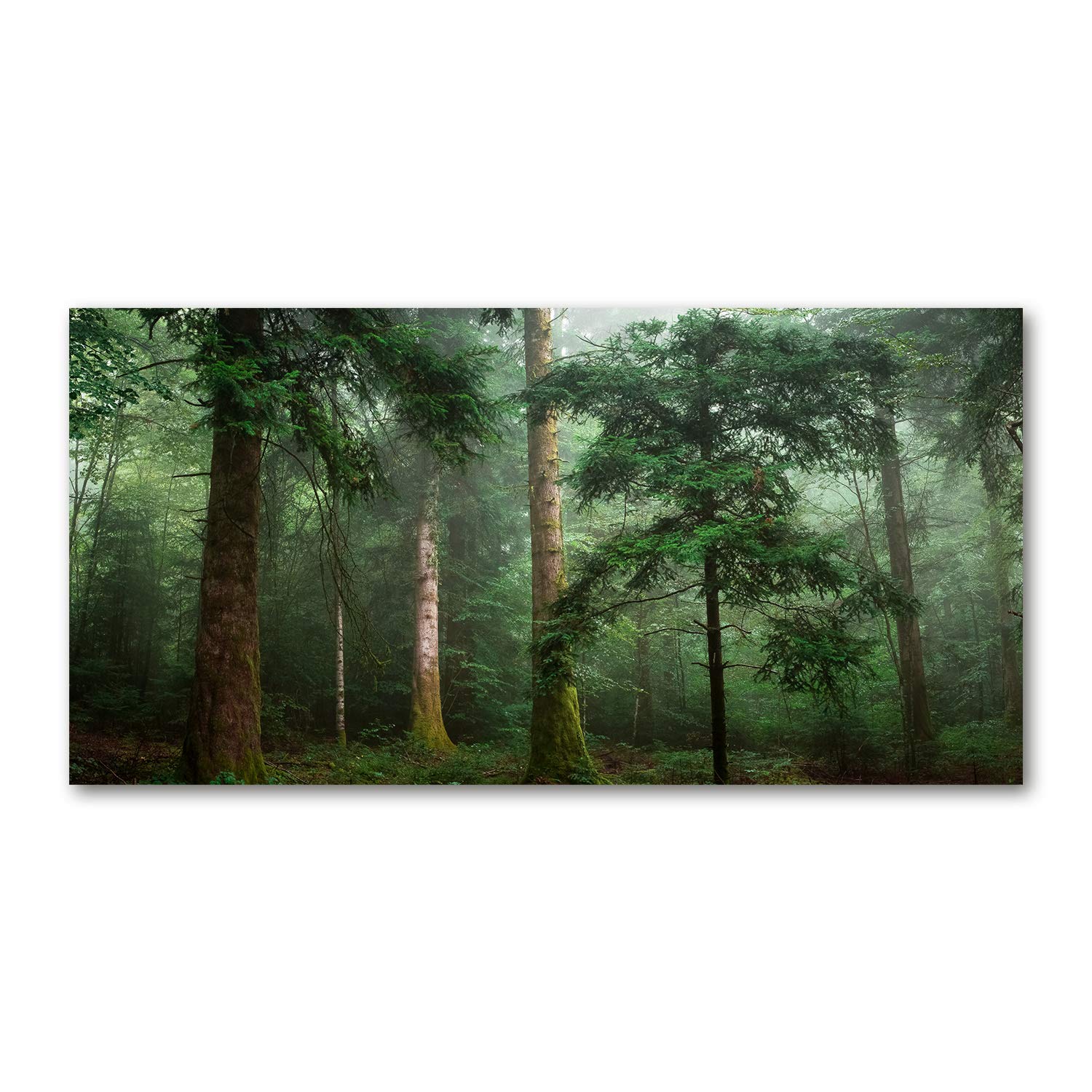 Mural acrylic glass de qualité premium 140x70cm Tulup