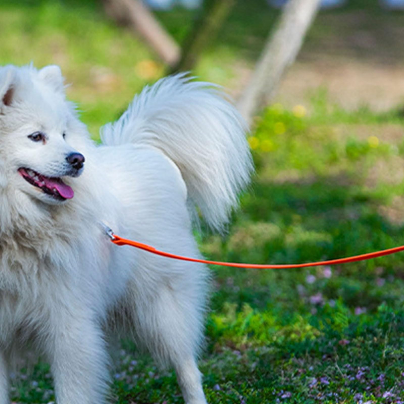PVC Hundeleine für Training, Gehleine für große, mittelgroße und kleine Hunde beim Gehen, Robustes Seilzubehör, wasserdichte PVC Hundeleine