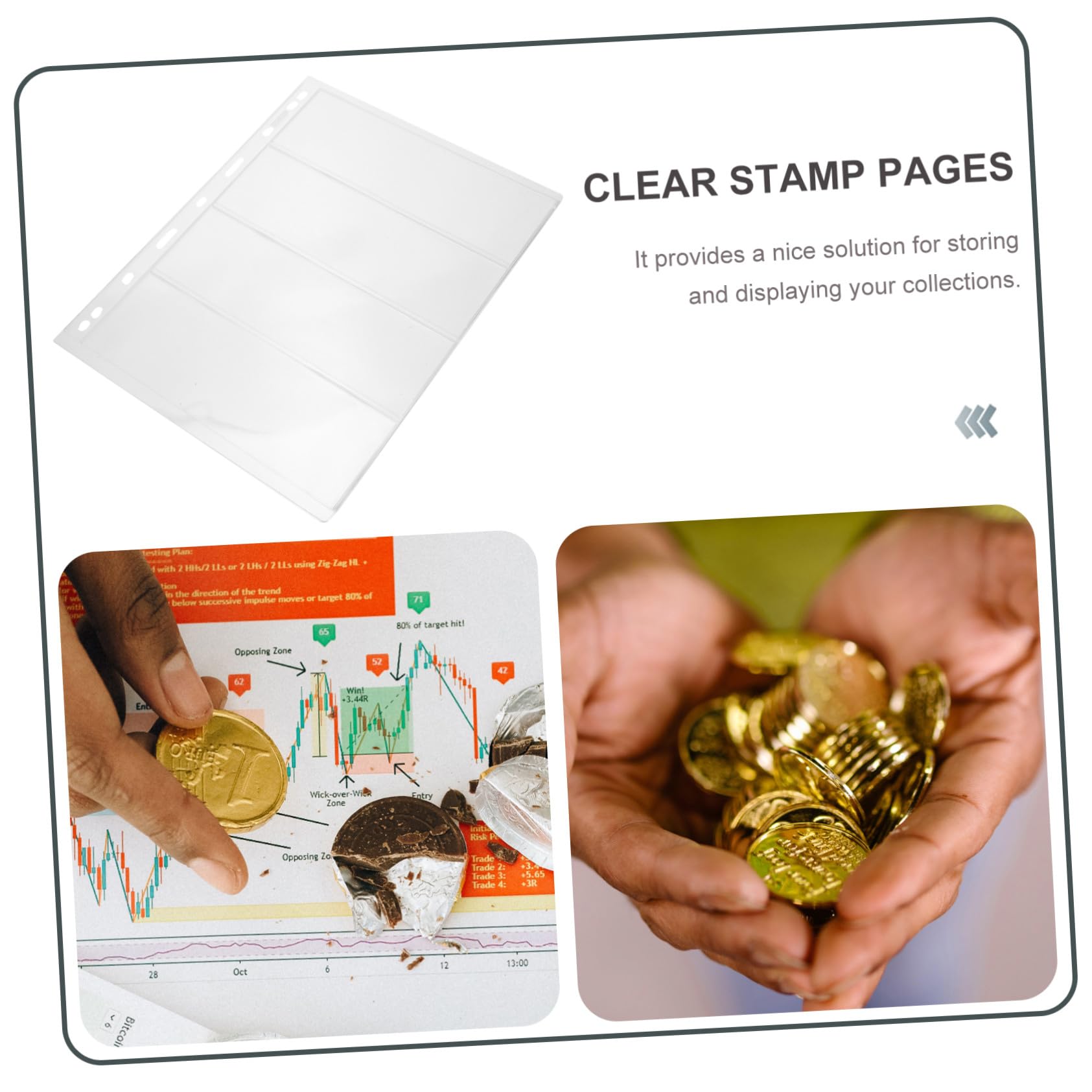 Gatuida Album con 20 Fogli in Pvc Trasparente per Collezionare Banconote e Monete Organizza e Protegge da Polvere e Danni, per Collezionismo