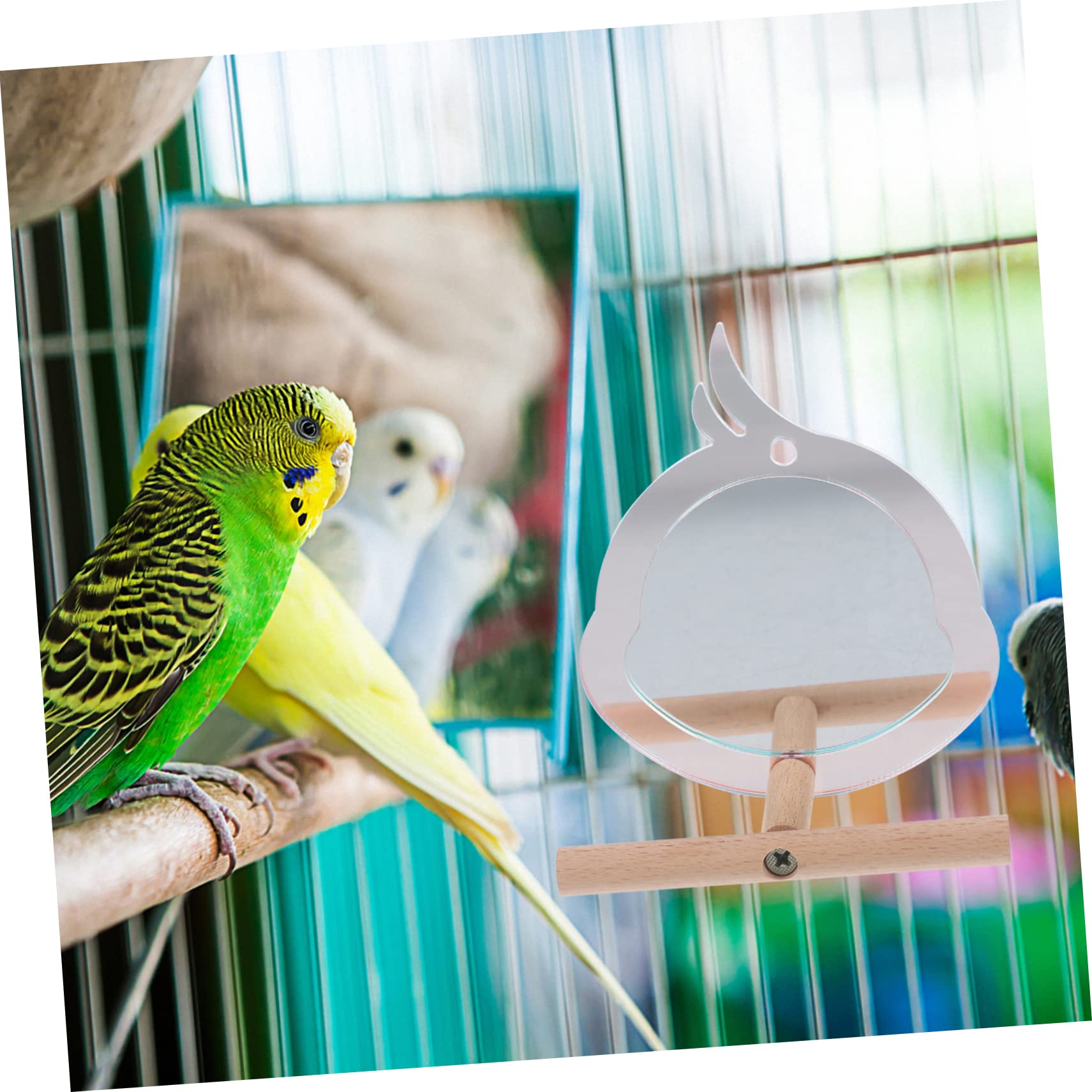 YARNOW 5piezas Perch para Aves Pequeñas Soporte Resistente para Periquitos y Juguete De Descanso y Ejercicio Diseño Chic Accesorio para Jaula De