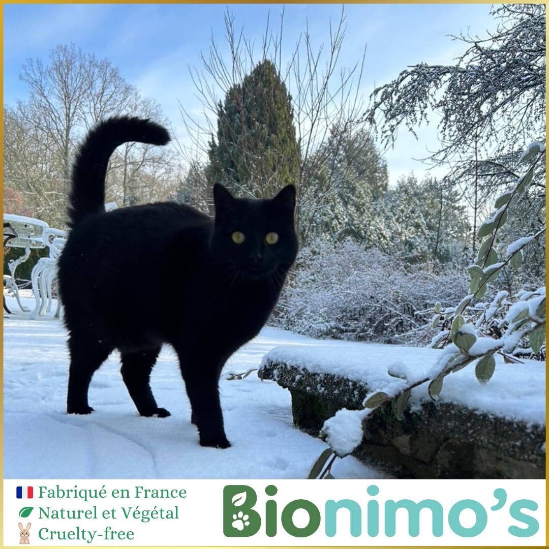 Shampoing à Sec sans rinçage, Mousse lavante sans rinçage Naturelle et Végétale Chats & Chatons, Peaux Sensibles. Nettoie & Hydrate. Eau de Lavande Bio & extrait d’Aloe Vera Bio. 100% Français.
