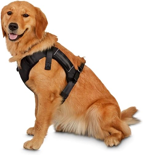 reddy dog harness amazon