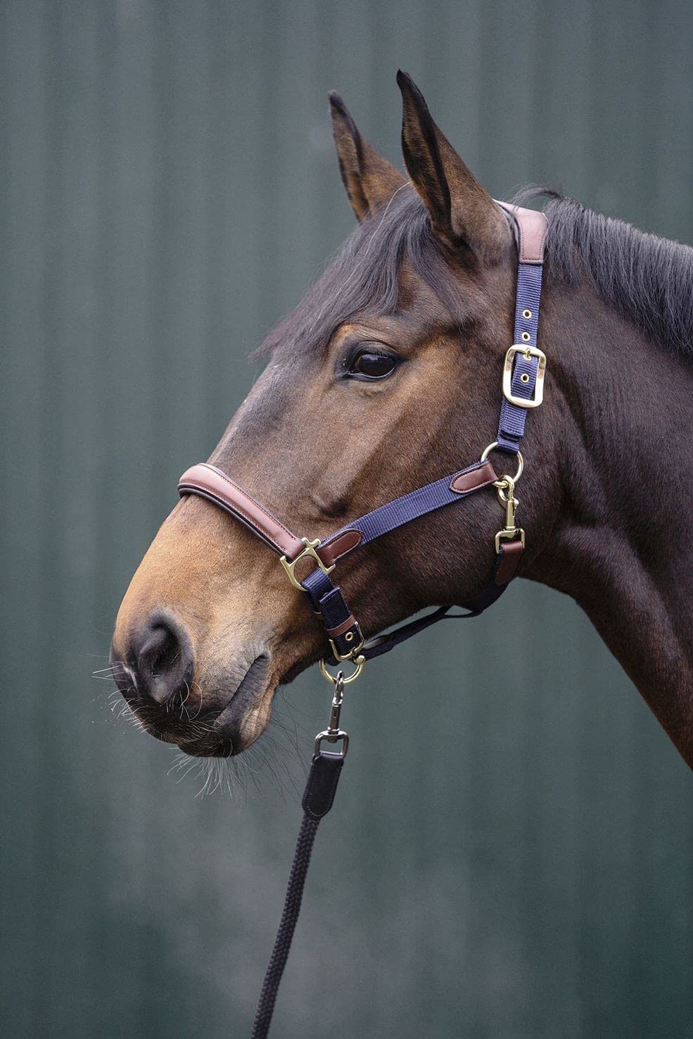HKM Luna Cabestro De Cuero Raun Warmblut
