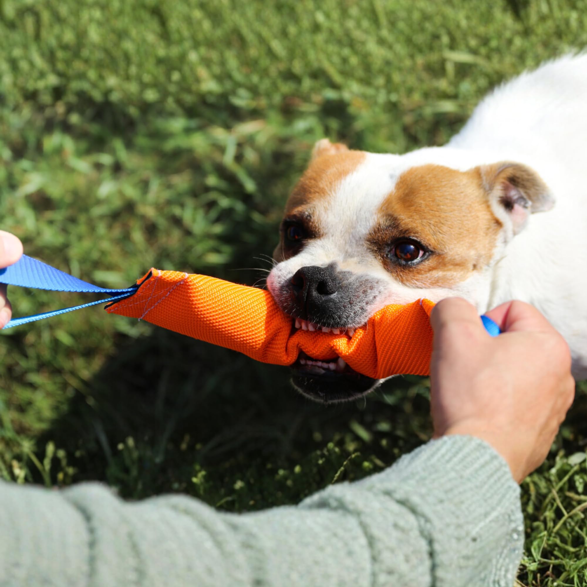 Bull Fit Manicotto per Cani Duraturo in Manichetta Antincendio Arancione