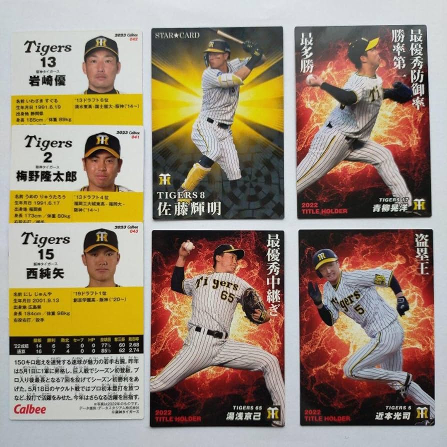 「送料無料」プロ野球カード! 阪神タイガース! 28 【梅野隆太郎/阪神タイガース】エポック 2025 NPBプロ野球