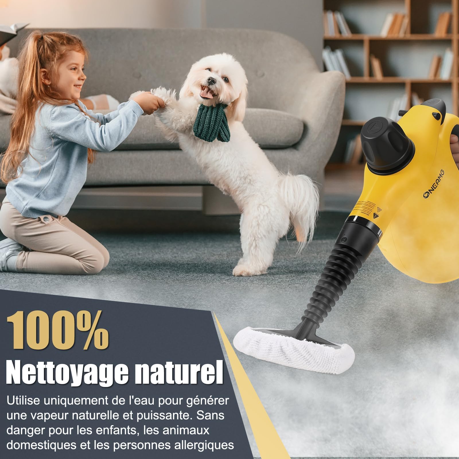 Nettoyeur Vapeur Portable -Verrouillage de Sécurité | Inclus 10 Accessoires&450ML,1050W&105°C,Chauffage Rapide en 3-5 Min, pour Voitures/Meubles/Sols/Cuisines