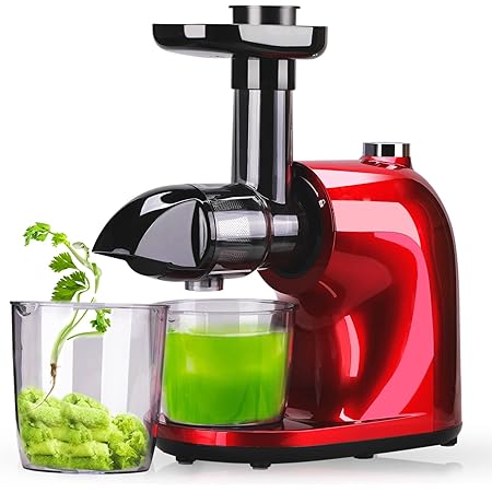 Amazon.com: ZUUKOO - Extractor de prensa fría de masticación lenta con  motor silencioso y función inversa, fácil de montar y limpiar, con cepillo,  recetas de jugo para verduras y frutas (gris) :