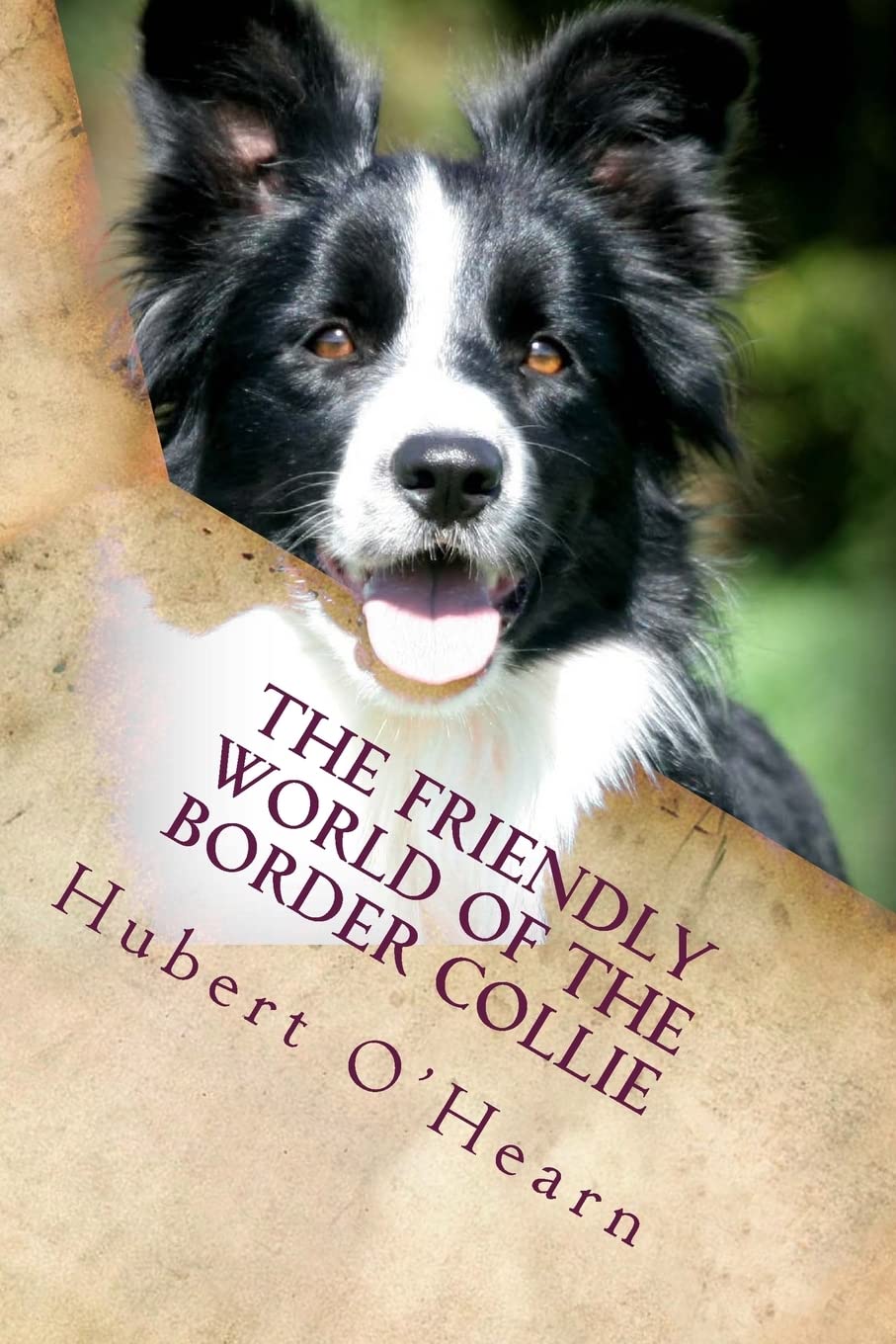 The Friendly World of the Border Collie: Inside the Minds of the Smartest Dogs in the World: Volume 2