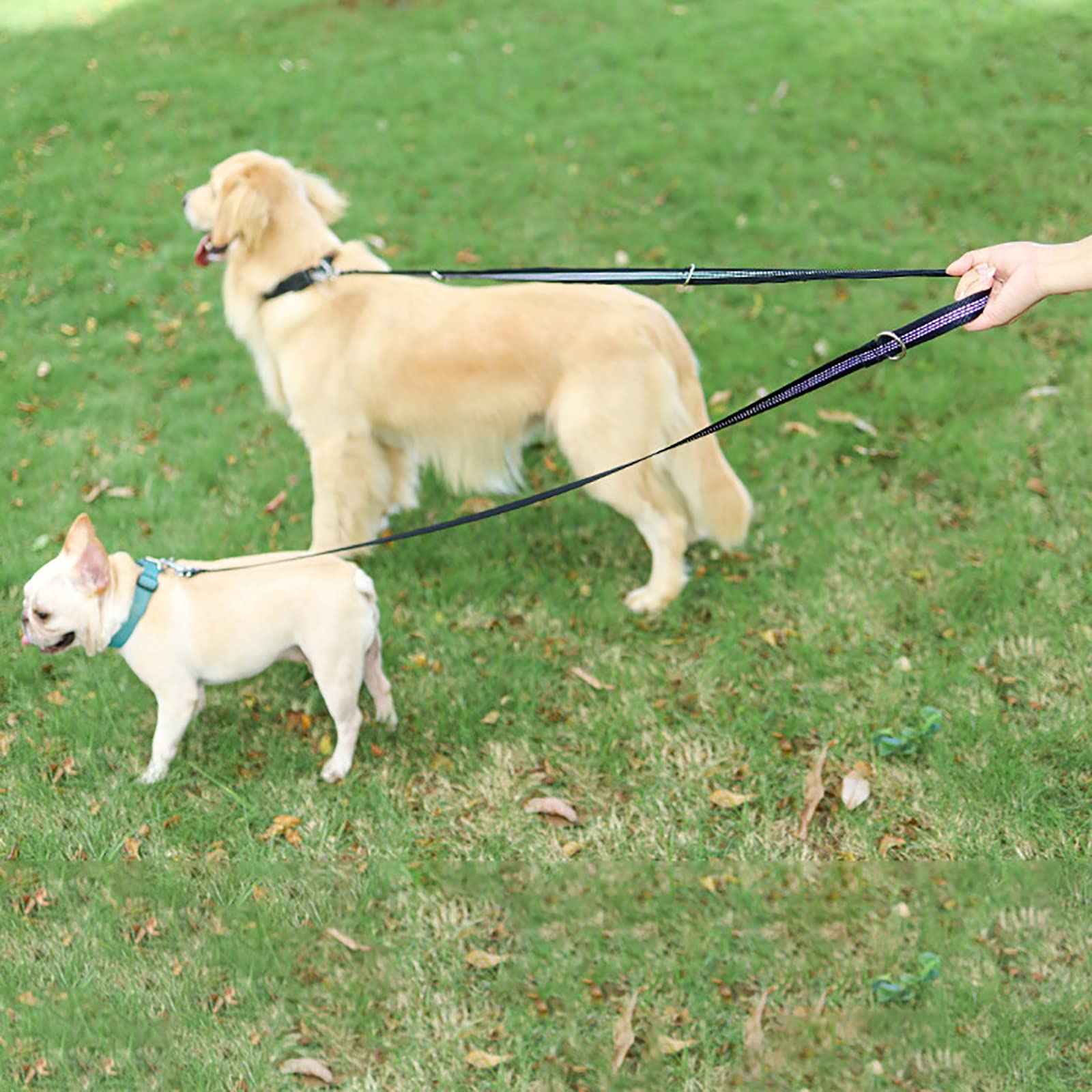 Guinzaglio per Cani Guinzaglio per Cani in Corda di Nylon per Impieghi Gravosi Guinzaglio per Animali Domestici da 9,8 Piedi con Filo Riflettente Guinzaglio Spesso