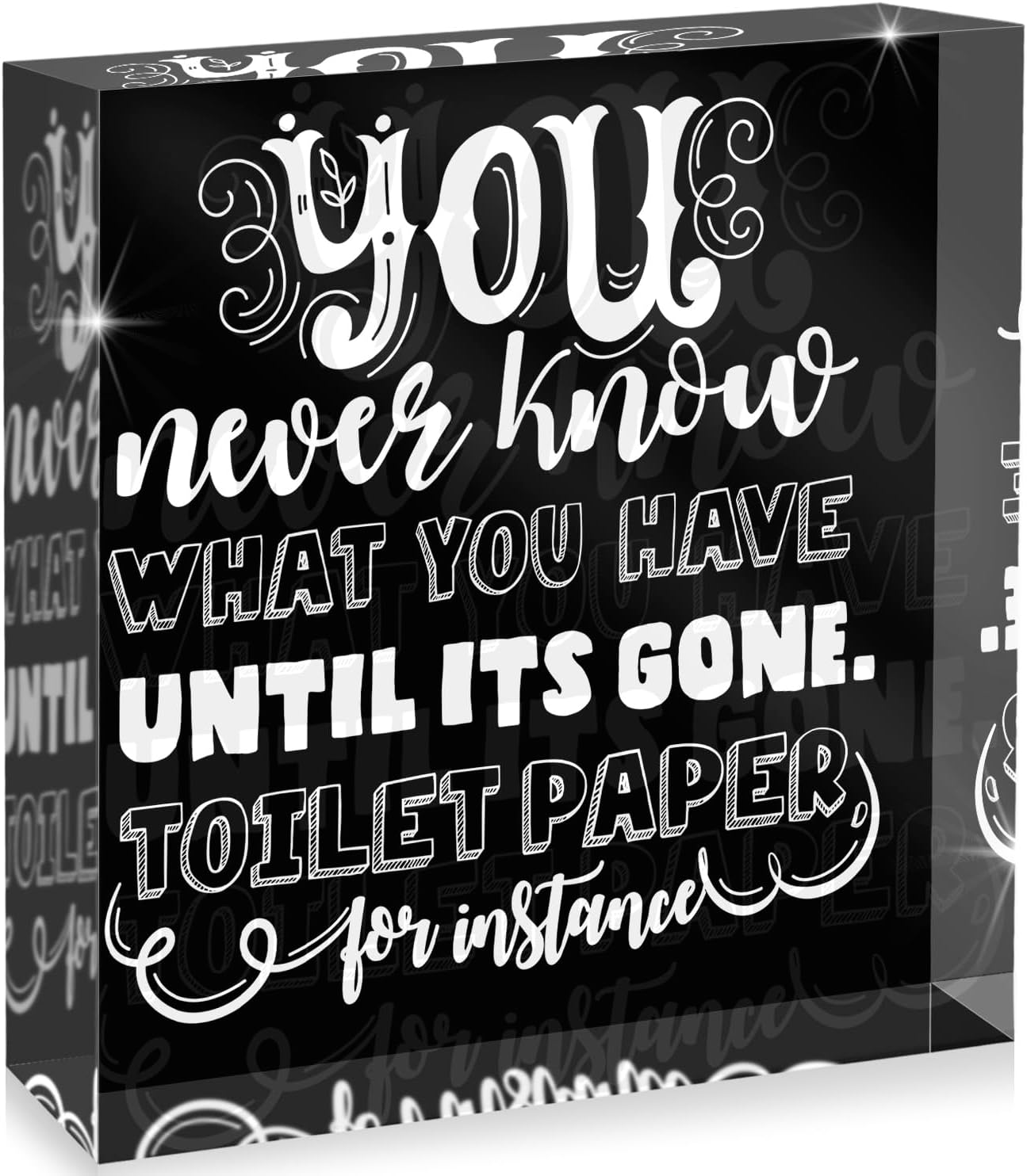 You Never Know What You Have Until is Gone Toilet Paper Home Decor, Bathroom, Shelf Decor Sign, Acrylic Box Sign, 4x4 Inches