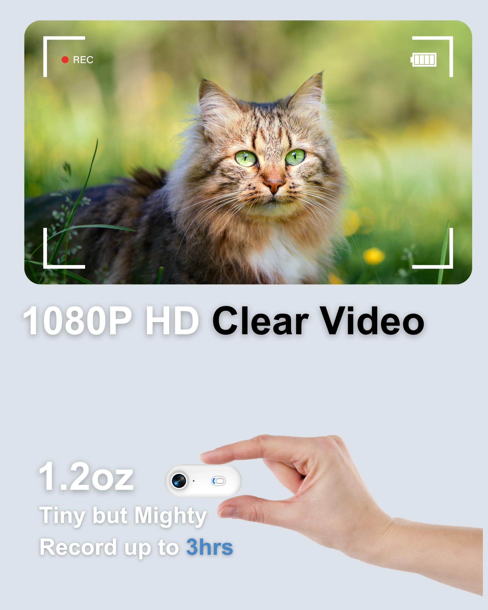 Collare per fotocamera per cani e gatti, 1080p HD registrazione video POV Cam per cani di taglia media e gatti grandi, taglia M, mini action camera ricaricabile con riproduzione USB su PC