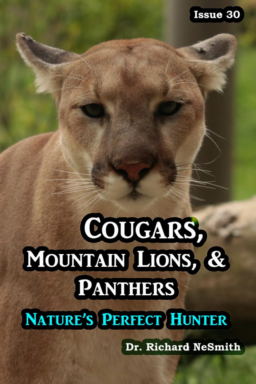 Cougars, Panthers, & Mountain Lions: Nature’s Perfect Hunter (Love of Nature)