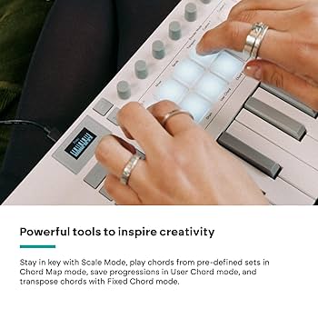 DTM・DAW Launchkey Mini 37 MK4 White 51YaHWxjcUL.jpg_BO30,255,255,