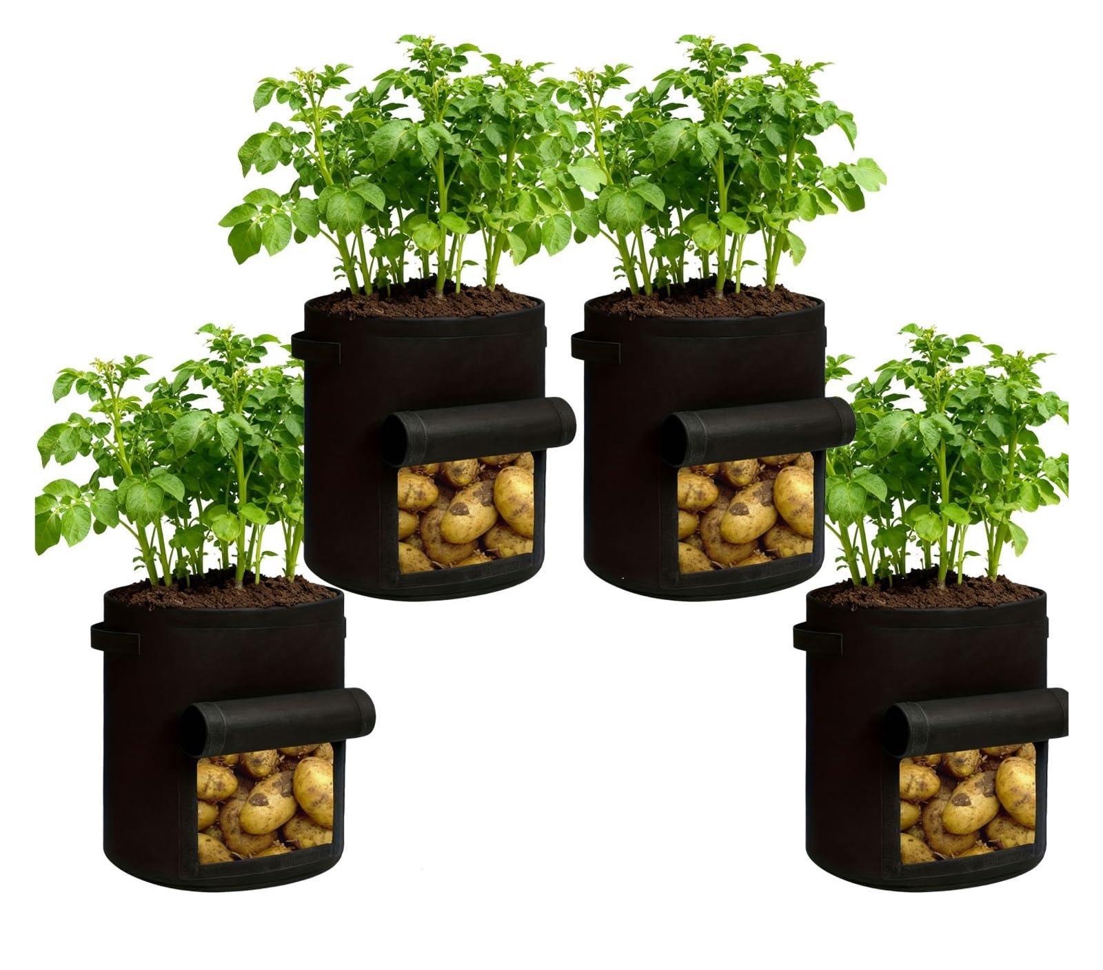 HWJFDC Potato Growing Bags 12 Pcs 5 Gallon Plant Grow Bags Thickened Non-Woven Fabric Garden Greenhouse Potato Pot Vegetable Growing(4pcs)