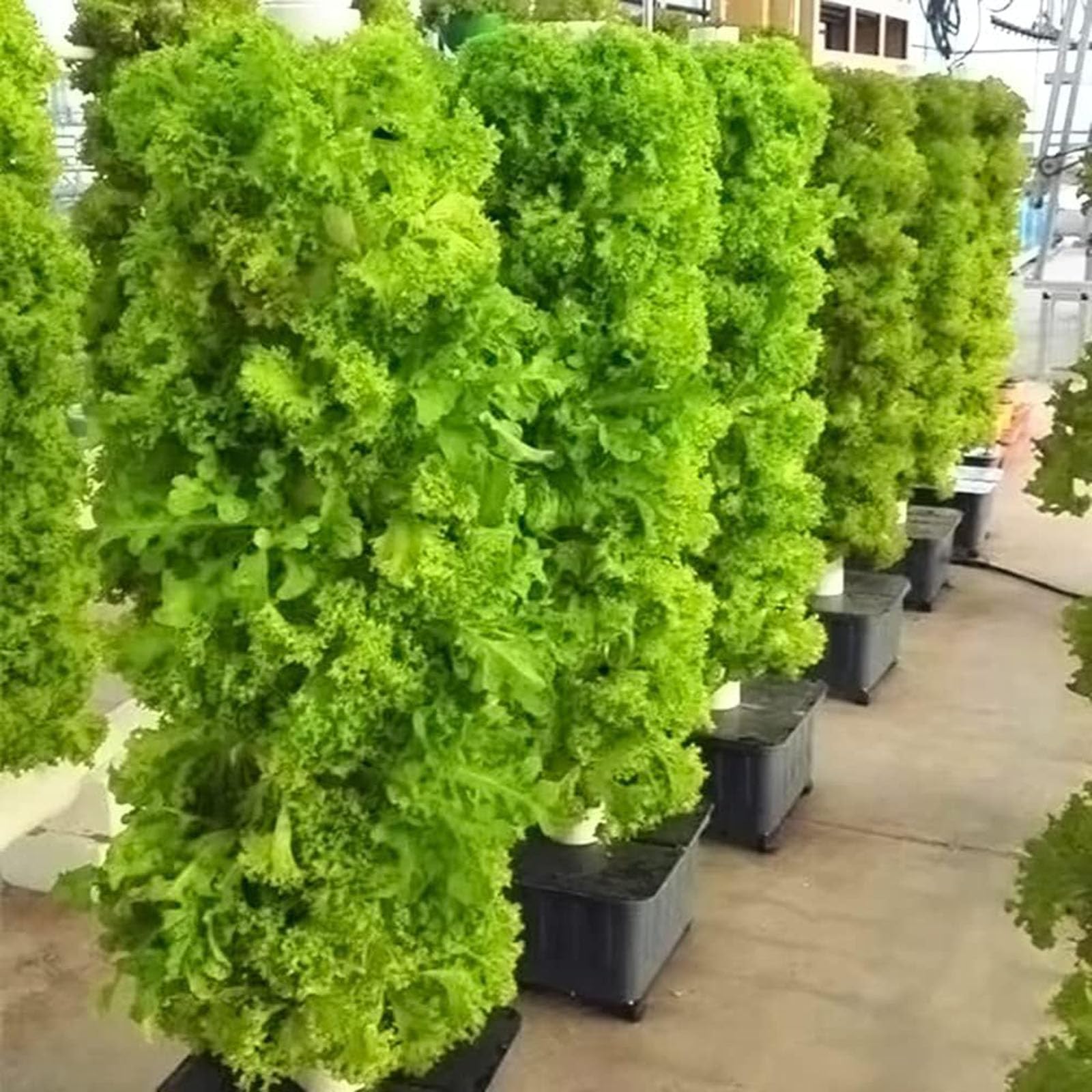 Sistema de cultivo hidropónico, torre hidropónica para hierbas, frutas y verduras, kit de cultivo aeropónico con bomba de hidratación, maceta de malla, temporizador para hierbas, frutas y verduras
