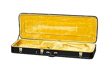 Epiphone 63 firebird VII ハードケース付き Epiphone 63 firebird VII ハードケース付き Epiphone 1963