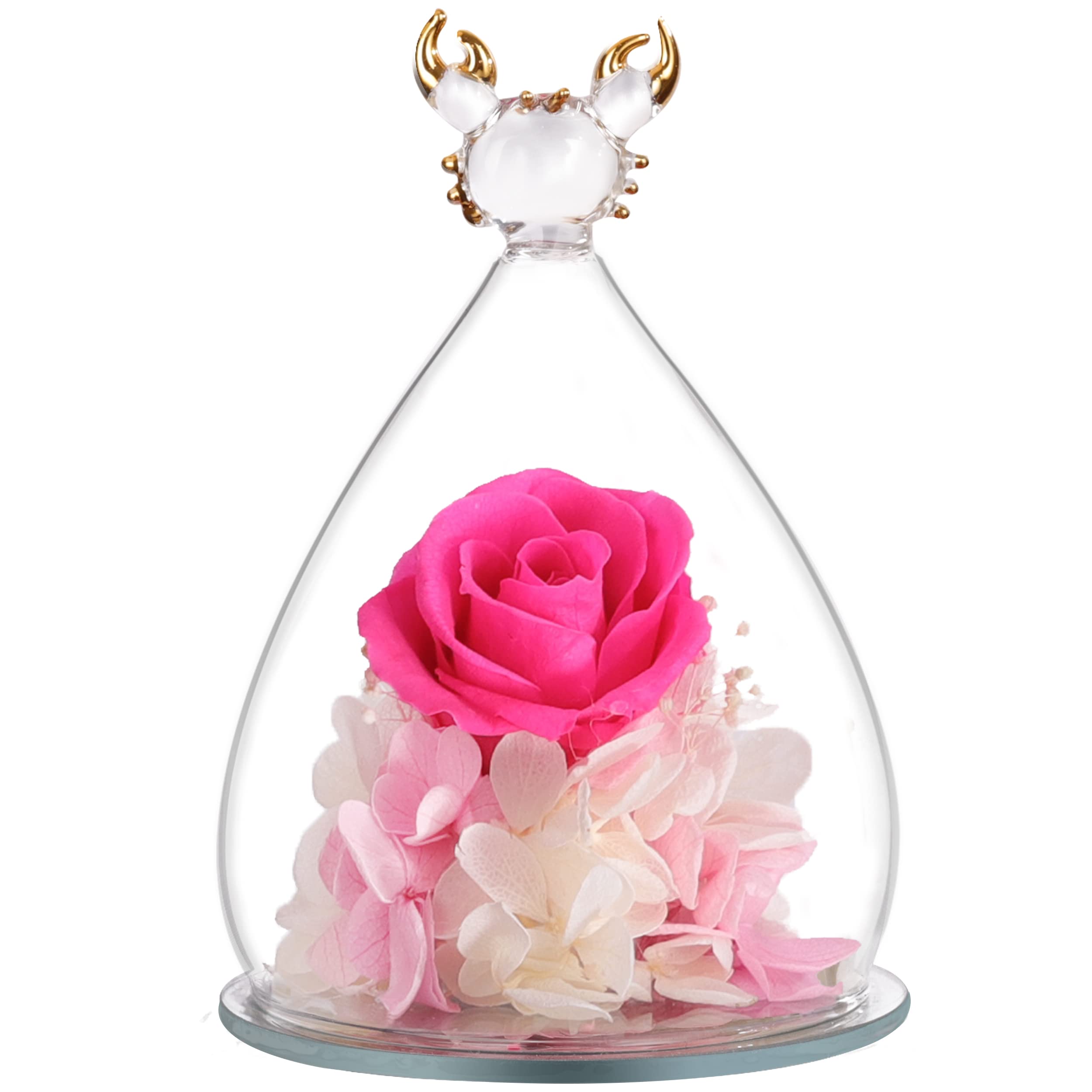 Hoomna Cancer Girl Birthday Gifts, Zodiac Collectible Figurines with