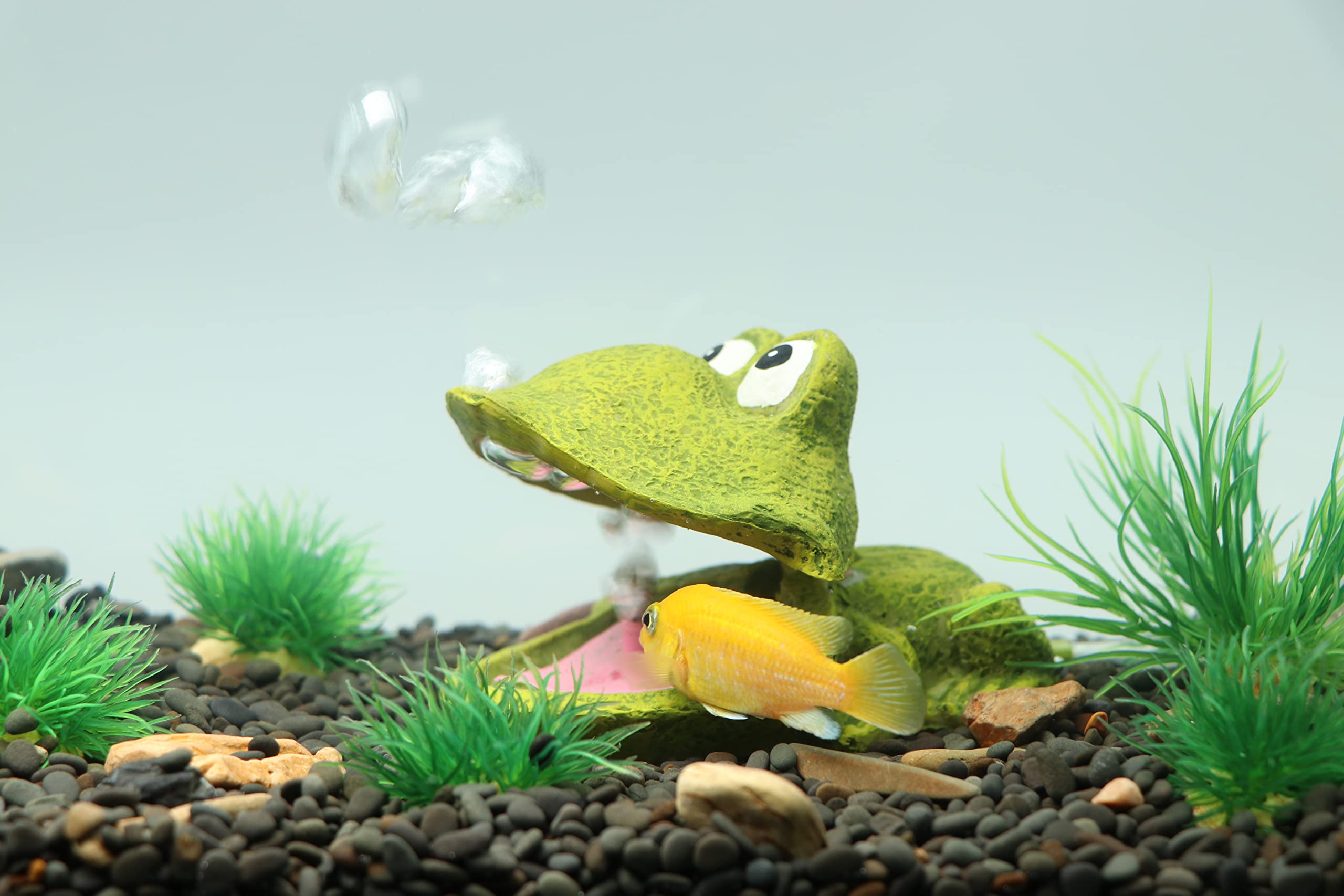 Amazon | HRRIVE 水槽 風景 木 カエル 口開きタイプ エアストーン付き