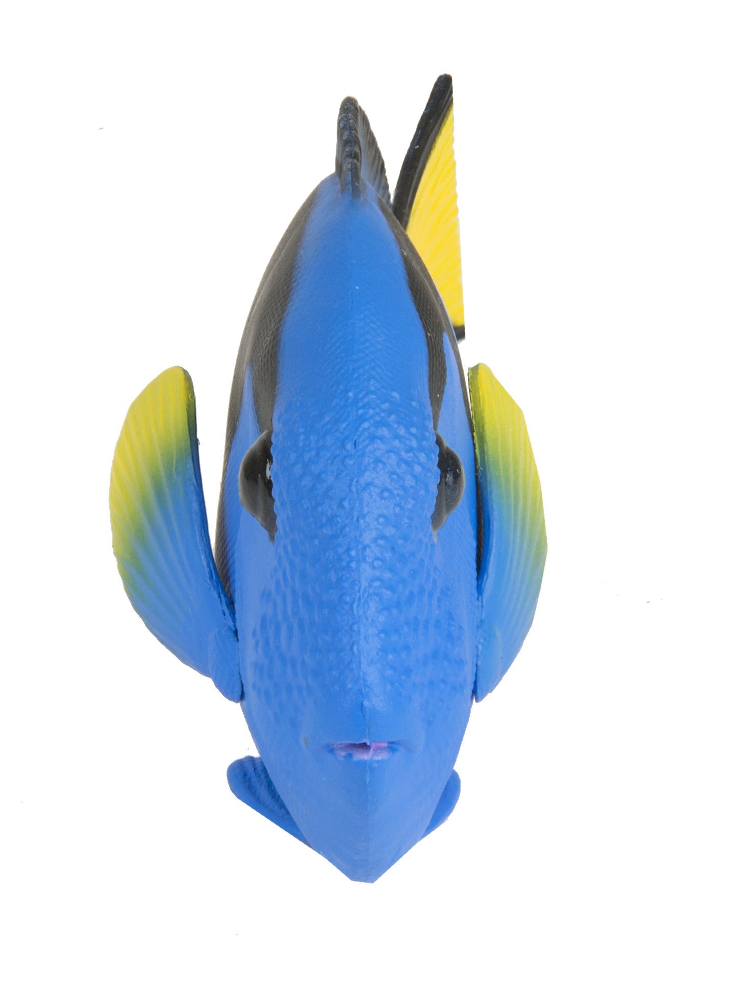 Safari Ltd. Blue Tang - Realistic Hand Painted Toy Figurine Model