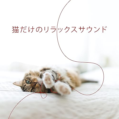 安らかな眠り By スパリラックス睡眠 Masters On Amazon Music Amazon Com