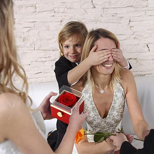 Miniatura 5 de AINYROSE Rosa preservada, Plástico