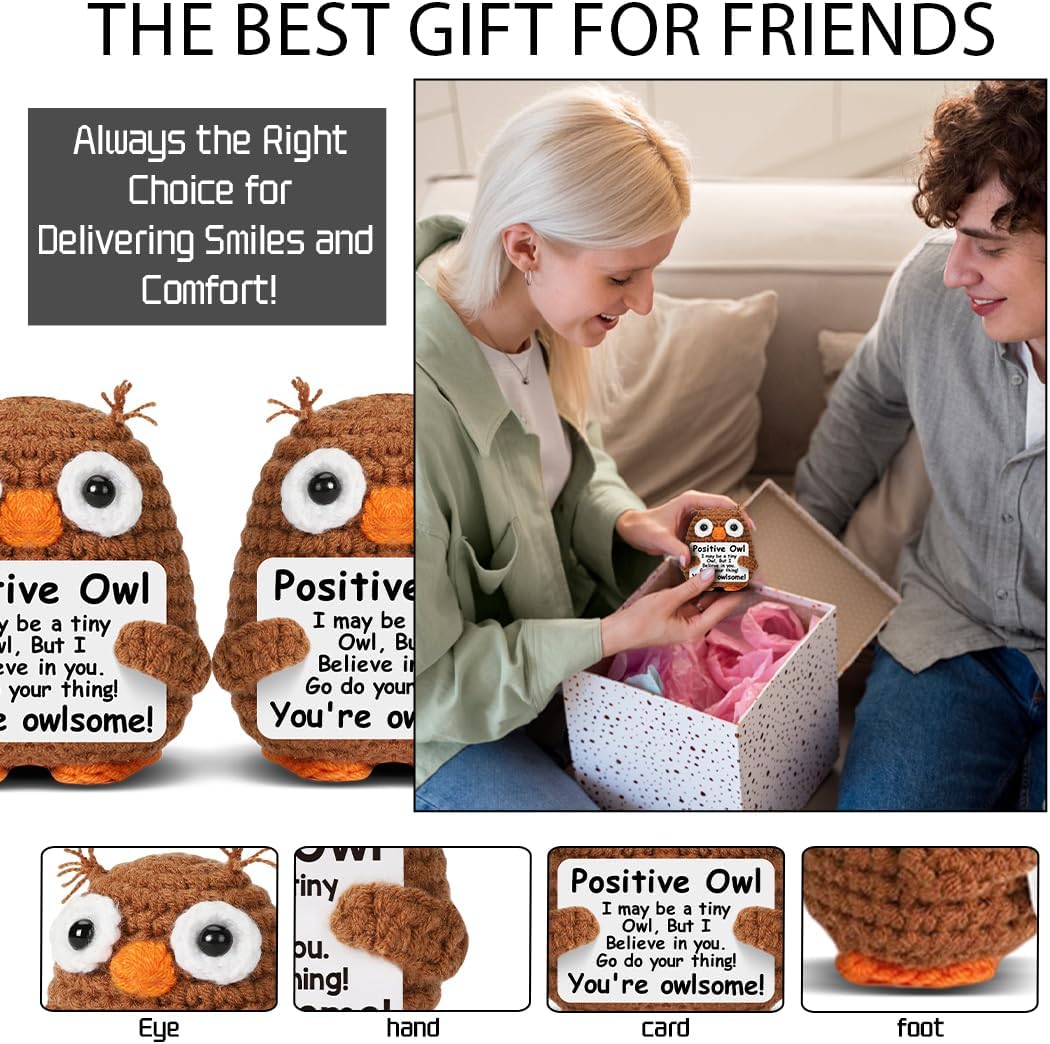 Funny Owl Crochet Decor, Owl Gifts for Women Friends Coworkers Sisters Besties Inspirational Birthday Gifts for Women Cute Owl Plush for Home Office Desk Decor - Image 5