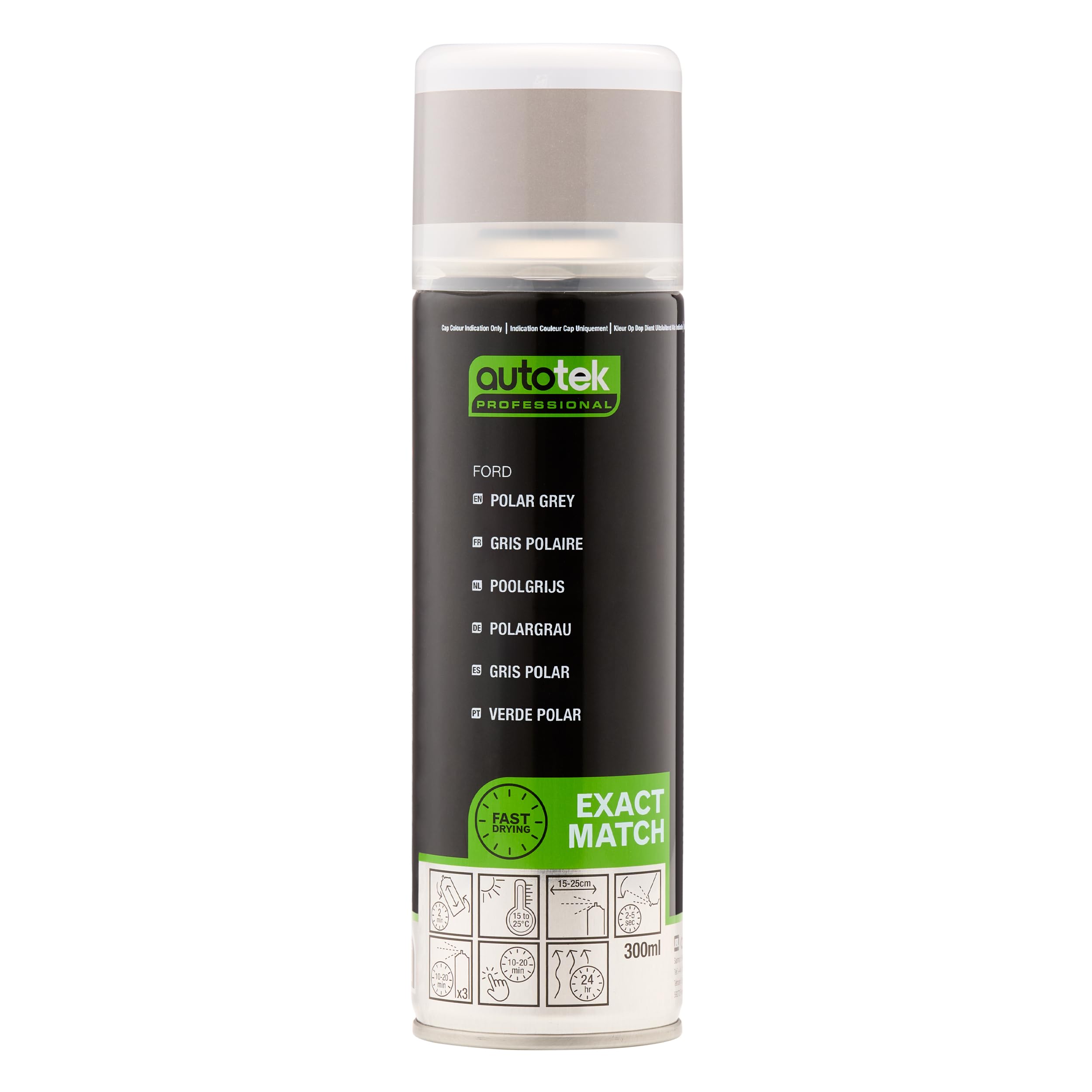 Autotek Professional Exact Match Car Spray Paint, Ford Polar Grey Aerosol Spray, 300 ml